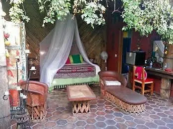 卡波圣卢卡斯 El Nido At Hacienda Escondida酒店 墨西哥